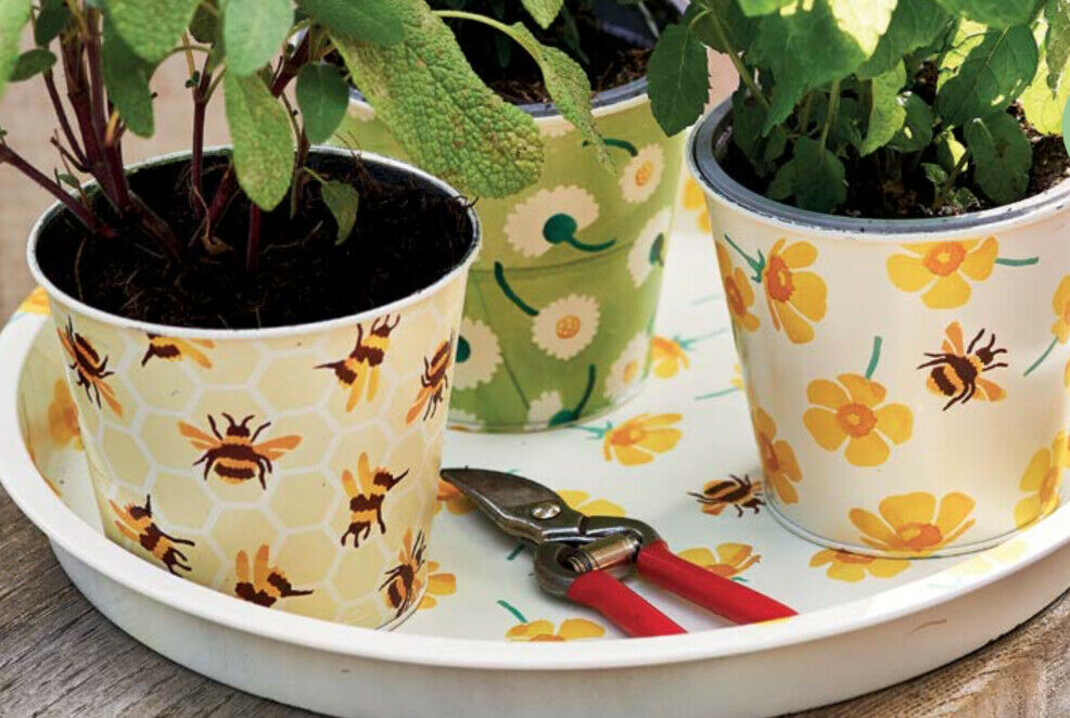 Buttercup Print Set of 3 Plant Pots By Emma Bridgewater